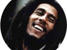 Bob Marley-Reggae Classics Vinyl / 12