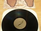 SUN CITY GIRLS LP TORCH OF THE MYSTICS PRIVATE PRESS MAJORA PSYCH SONIC YOUTH NR