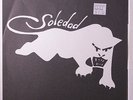 SOLEDAD BROTHERS: Sugar And Spice 45 (PS, sm toc) Rock & Pop