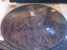 THE MARS VOLTA - THE WINDOW- LTD. PICTURE DISC VINYL - LP - MCST40408 - NM