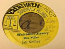 Ras Miller Jah Nedley Medetation Scenery Rare Killer Roots 7