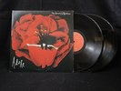 Smashing Pumpkins 2 LP 