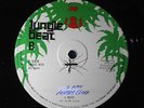 Freddy Clark & I-Roy - I man / Troubles JUNGLE BEAT 12