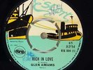 Glen Amams/Woodpeckers 