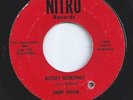 JIMMY SKYLAR rockabilly BONEY MORONEY garage NITRO 45 HEAR