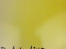 VINTAGE Bad Brains ROCK FOR LIGHT Vinyl Record LP - FAST SHIPPING