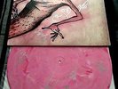 Circa Survive - Inuit Sessions Vinyl Signed by Band Pink First Press LP
