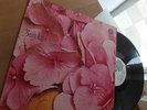 STILL LIFE LP 1st  Vertigo Swirl LP 1972 IN MINT