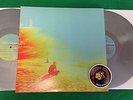 The Flaming Lips The Terror Rock 2LP Silver Vinyl Warner Bros Piranha Records