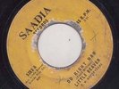 '65 SAADIA FUNK 45 LITTLE BEAVER DO RIGHT MAN/THESE BLUES ARE GETTING ME DOWN ?