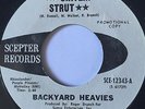 Hear Rare OG Soul Funk Breaks '72 Scepter 45 - Backyard Heavies ?– Chitlin Strut