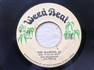 CRUBRICK/TOP RANKING JA WEED BEAT RARE KILLER TUNE LISTEN