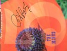 SAD HASSELHOFF Signed autographed by PETER BUCK from R.e.M the minus