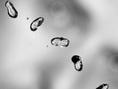 Peter Gabriel - Up (200g Super Vinyl / 2-LP) TOP