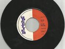 TERMITES / I'LL BE WAITING / UPSETTERS / THE NIGHT DOCTOR / 7''/ VG+