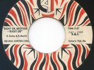 FUNK/SOUL 45 - THE SOUL CONTROLLERS on CAT