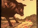 BULL ANGUS self-titled LP US Stereo