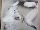 DONALD BYRD FREE FORM ORIG BLUE NOTE 4118 MONO NY USA Van Gelder no ear VG++/VG+