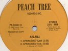 Arlana - Springtime - Orig. Rare Modern Soul Boogie Promotional 12 Inch