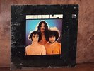 Vinyl-LP: SECOND LIFE - same (self titled 1971) Krautrock RARITÄT