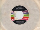 Northern Soul 45 ORTHEIA BARNES Take My Heart And Soul CORAL - HEAR VG++