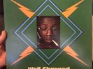 Vital Dub - Well Charged LP V 2055 Rare Issue VG/NM