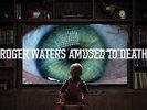 Roger Waters Amused to Death LP Rock 33RPM 200gm Analogue Productions  2015 NEW