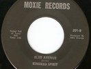 HEAR Kindred Spirit-Blue Avenue 69 PA cool moody organ fuzz b/w frantic Stones