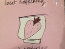 BEAT HAPPENING Jamboree VINYL LP / Calvin Johnson Halo Benders