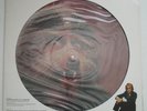 WARREN ZEVON Werewolves Of London NM ASYLUM Promo Only 12