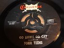 FOUR TEENS - GO LITTLE CAT GO / SPARK PLUG - USA - EXCELLENT- 