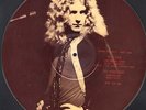 Led Zeppelin 3 LP picture disc set SUPER RARE RARE 1971 OSAKA JAPAN Import