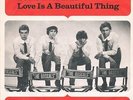 YOUNG RASCALS you better run / love is HEAR + PS 60s GARAGE psych BEAT mod