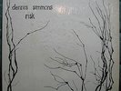 DENNIS SIMMONS • Risk • 1979 PRIVATE FOLK ROCK PROG Vinyl Whole Heart Prod.