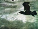 Vangelis Papathanassiou LApocalypse Des Animaux NEAR MINT Polydor Vinyl LP
