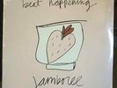 BEAT HAPPENING 