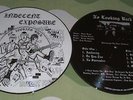 Rare Indecent Exposure Picture-Disc LP Only 250 Copies Oi Punk Skinhead Isd Ror