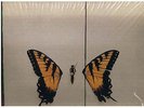 PARAMORE - BRAND NEW EYES  LP 33 RPM  FUELED BY RAMEN  W-INSERT  UNPLAYED  2009