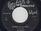Doo-Wop R&B 45 - Cadets - Stranded In The Jungle - Modern - mp3