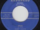 Blues R&B Inst. 45 - Albert Collins & Rhythm Rockers - Freeze - Kangaroo - mp3