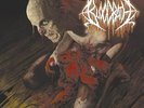 BLOODBATH - Nightmares Made Flesh  [BLACK Vinyl] LP