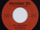 Northern Soul 45 SHEPPARD BOY My Angel Baby INTERNATIONAL HITS HEAR