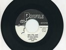 THE NIGHT RAIDERS   Hidi Hidi Hidi/Cottonpickin   rockabilly stomper   PROFILE