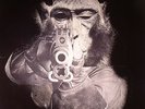 CIRCUS DEVILS - Stomping Grounds - Vinyl (LP + MP3 download code)