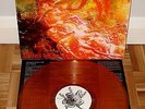 Morbid Angel - Blessed are the Sick orange Earache FDR vinyl death metal