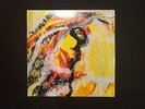 CALIFORNIA BREED (Glenn Hughes) 2 LP Vinyl Set (Very Rare Yellow Vinyl) 2014 G/F