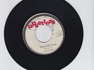 UPSETTER/WHEN JAH COME  -  DEVON IRONS  (76  REGGAE ROOTS 7