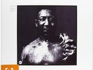 After The Rain - Muddy Waters (2011, Vinyl NEW)