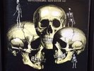 Skull Snaps 