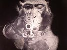 CIRCUS DEVILS - Stomping Grounds - Vinyl (LP + MP3 download code)